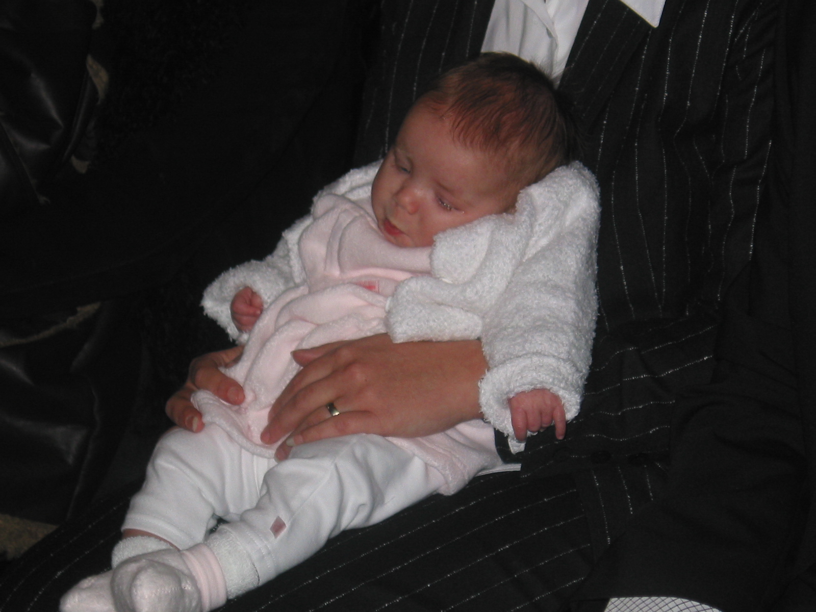 picture15.jpg